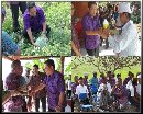 BIMBINGAN TEKNIS PENGELOLA LEMBAGA PELATIHAN PROGRAM PENINGKATAN KUALITAS DAN PRODUKTIVITAS TENAGA KERJA (PKPTK) DINAS TENAGA KERJA TRANSMIGRASI DAN SOSIAL KOTA DENPASAR